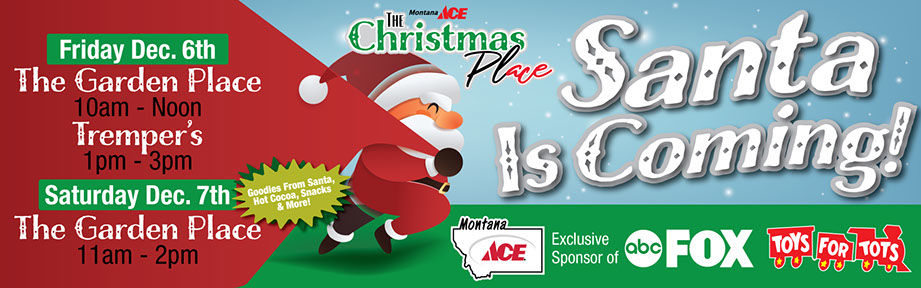 Santa ACE